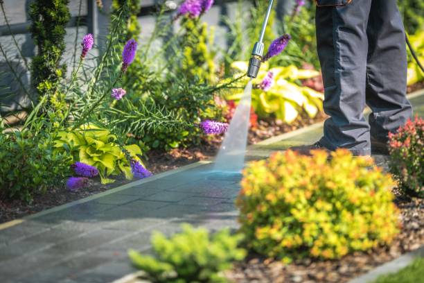 Trusted Indian Wells, CA Pressure Washing Services Experts